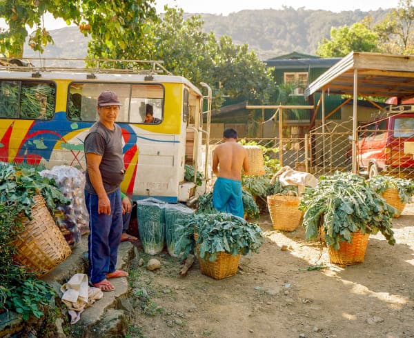 A photograph from the book shows men loading a truck with baskets of vegetables. One man in the foreground looks intently, as if sizing up the amount of work remaining to finish the task.